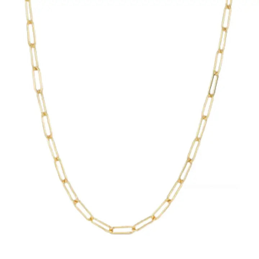 Carla Chain 18k Gold Plated Paper Clip Chain ~ Stainless